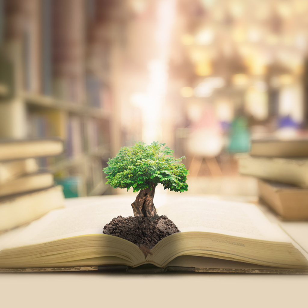 tree and book