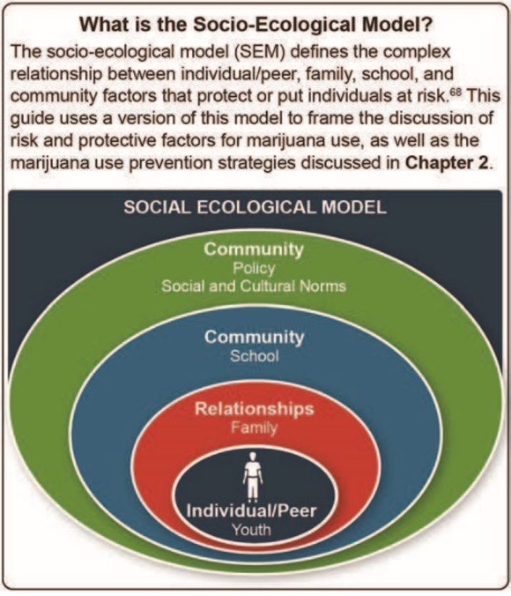 social ecological model