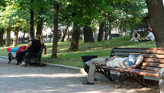 Folks lounge at a shaded park.