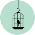 Bird in cage.