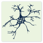 Neuron.