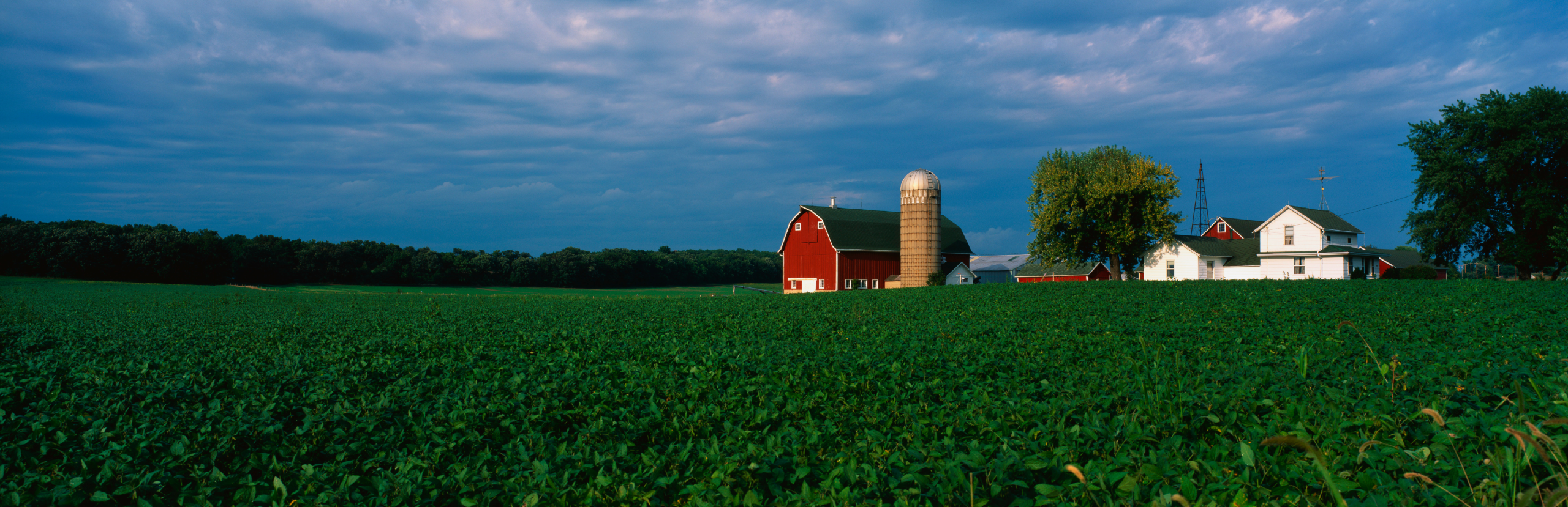 barn and farmhouse on a lush green field