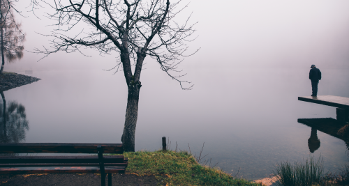 person looking over the edge of a dock into a foggy lake