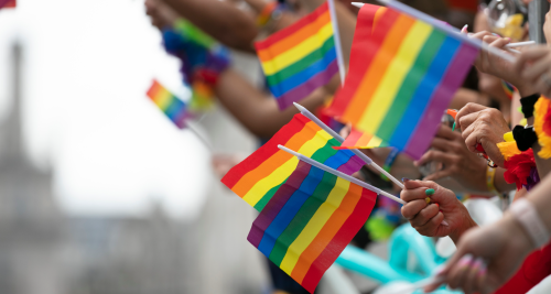 many hands holding out gay pride flags