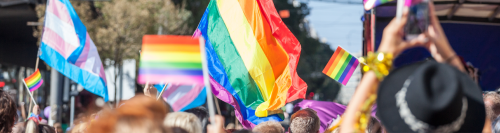 Many people holding pride flags up during a pride parade