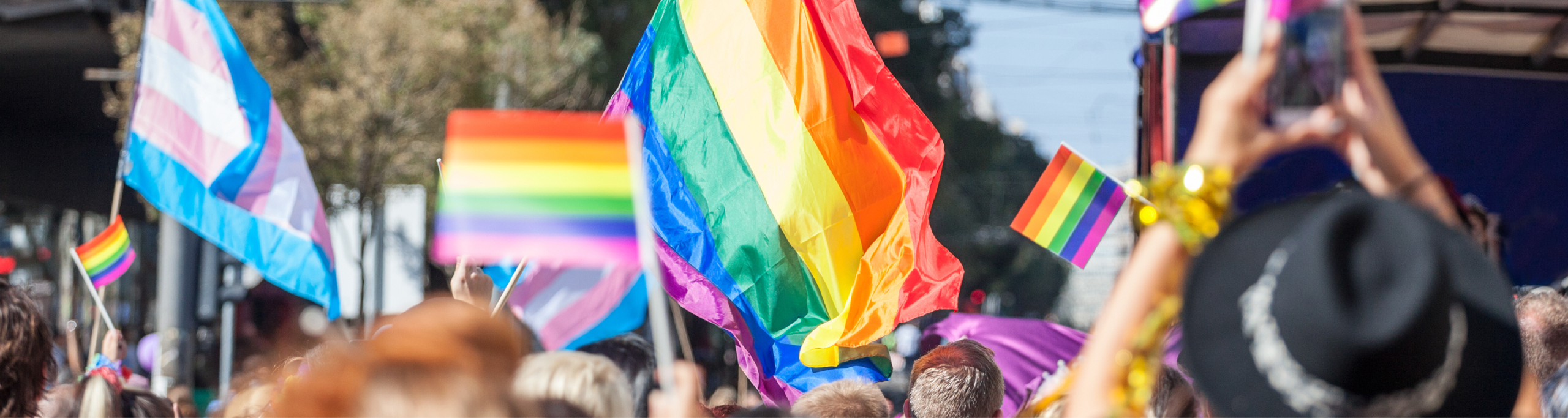 Many people holding pride flags up during a pride parade